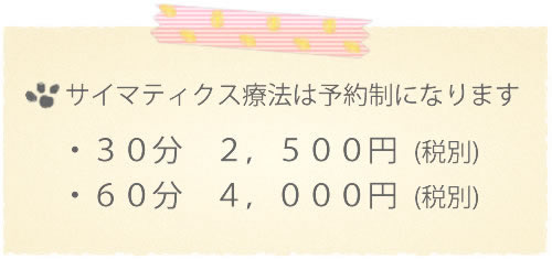 バイオレゾナンス測定