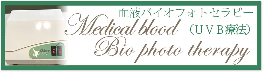 血液バイオフォトセラピー（UVB療法）：南平動物病院統合医療診療室（静岡県浜松市中央区）