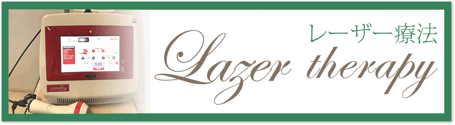 レーザー療法:南平動物病院統合医療診療室